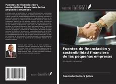 Обложка Fuentes de financiación y sostenibilidad financiera de las pequeñas empresas