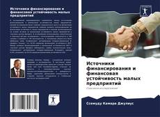 Couverture de Источники финансирования и финансовая устойчивость малых предприятий