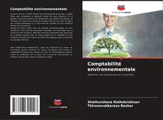 Portada del libro de Comptabilité environnementale