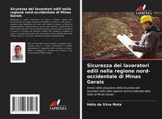 Capa do livro de Sicurezza dei lavoratori edili nella regione nord-occidentale di Minas Gerais 