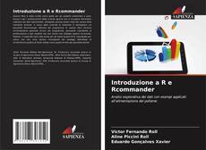 Buchcover von Introduzione a R e Rcommander