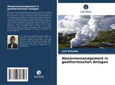 Capa do livro de Abwärmemanagement in geothermischen Anlagen 