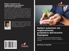 Capa do livro de Batteri autoctoni nel miglioramento produttivo dell'Arachis Hypogaea 