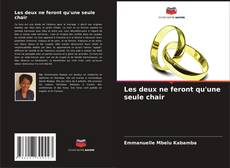 Bookcover of Les deux ne feront qu'une seule chair