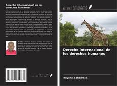 Derecho internacional de los derechos humanos kitap kapağı