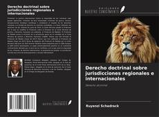 Derecho doctrinal sobre jurisdicciones regionales e internacionales kitap kapağı
