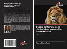 Bookcover of Diritto dottrinale sulle giurisdizioni regionali e internazionali