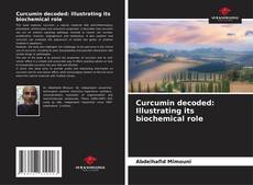 Bookcover of Curcumin decoded: Illustrating its biochemical role