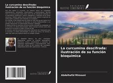 La curcumina descifrada: ilustración de su función bioquímica kitap kapağı