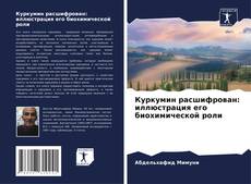 Bookcover of Куркумин расшифрован: иллюстрация его биохимической роли