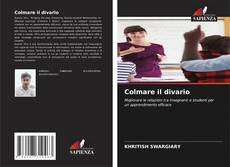 Bookcover of Colmare il divario