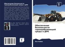 Bookcover of Обеспечение безопасности горнодобывающей среды в ДРК