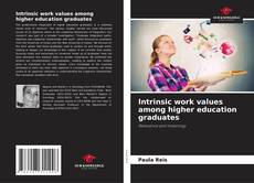 Capa do livro de Intrinsic work values among higher education graduates 