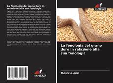 Buchcover von La fenologia del grano duro in relazione alla sua fenologia