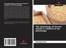 Buchcover von The phenology of durum wheat in relation to its phenology