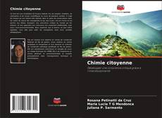 Bookcover of Chimie citoyenne