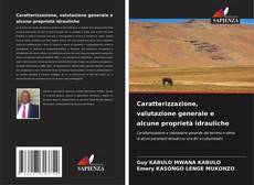 Bookcover of Caratterizzazione, valutazione generale e alcune proprietà idrauliche