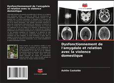 Bookcover of Dysfonctionnement de l'amygdale et relation avec la violence domestique