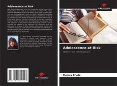 Capa do livro de Adolescence at Risk 