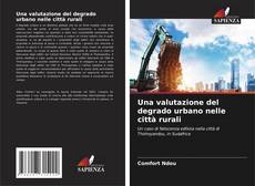 Capa do livro de Una valutazione del degrado urbano nelle città rurali 