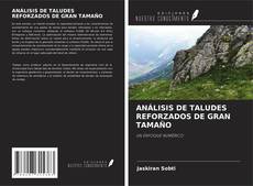 Обложка ANÁLISIS DE TALUDES REFORZADOS DE GRAN TAMAÑO