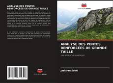 Buchcover von ANALYSE DES PENTES RENFORCÉES DE GRANDE TAILLE