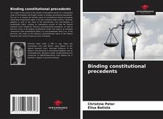 Обложка Binding constitutional precedents