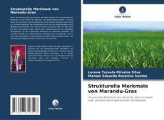 Обложка Strukturelle Merkmale von Marandu-Gras