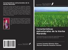 Capa do livro de Características estructurales de la hierba Marandu 