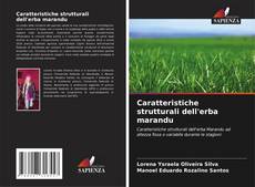 Buchcover von Caratteristiche strutturali dell'erba marandu