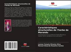 Buchcover von Caractéristiques structurelles de l'herbe de Marandu