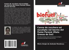 Bookcover of Canna da zucchero ed eucalipto nel bacino del fiume Paraná (Mato Grosso do Sul)