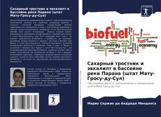 Bookcover of Сахарный тростник и эвкалипт в бассейне реки Парана (штат Мату-Гросу-ду-Сул)