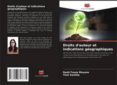 Capa do livro de Droits d'auteur et indications géographiques 