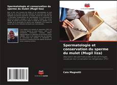 Borítókép a  Spermatologie et conservation du sperme du mulet (Mugil liza) - hoz