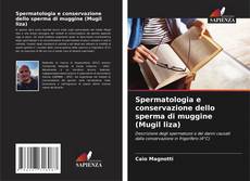 Bookcover of Spermatologia e conservazione dello sperma di muggine (Mugil liza)