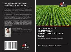 Buchcover von VULNERABILITÀ CLIMATICA E PRODUTTIVITÀ DELLA SOIA