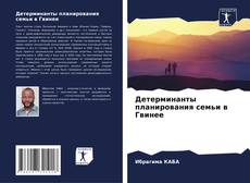 Couverture de Детерминанты планирования семьи в Гвинее