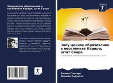 Bookcover of Запущенное образование в поселениях Карири, штат Сеара