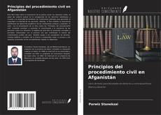Principios del procedimiento civil en Afganistán kitap kapağı