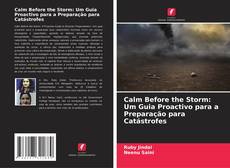 Calm Before the Storm: Um Guia Proactivo para a Preparação para Catástrofes kitap kapağı