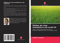 Bookcover of Efeitos da crise económica e da covid-19
