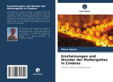 Bookcover of Erscheinungen und Wunder der Muttergottes in Cimbres