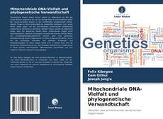 Bookcover of Mitochondriale DNA-Vielfalt und phylogenetische Verwandtschaft