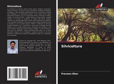 Buchcover von Silvicoltura