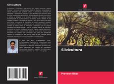 Buchcover von Silvicultura