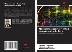 Mastering object-oriented programming in Java kitap kapağı