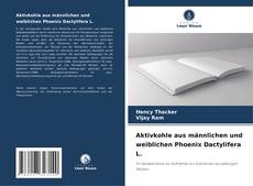 Buchcover von Aktivkohle aus männlichen und weiblichen Phoenix Dactylifera L.