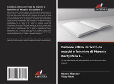 Bookcover of Carbone attivo derivato da maschi e femmine di Phoenix Dactylifera L.