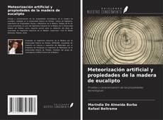 Capa do livro de Meteorización artificial y propiedades de la madera de eucalipto 